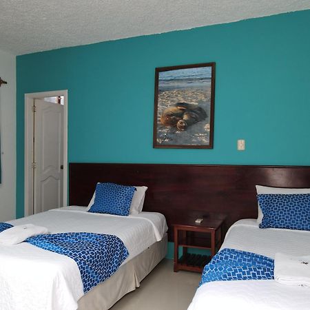 Hotel La Gran Tortuga - ᯤ Starlink Puerto Villamil Exterior photo