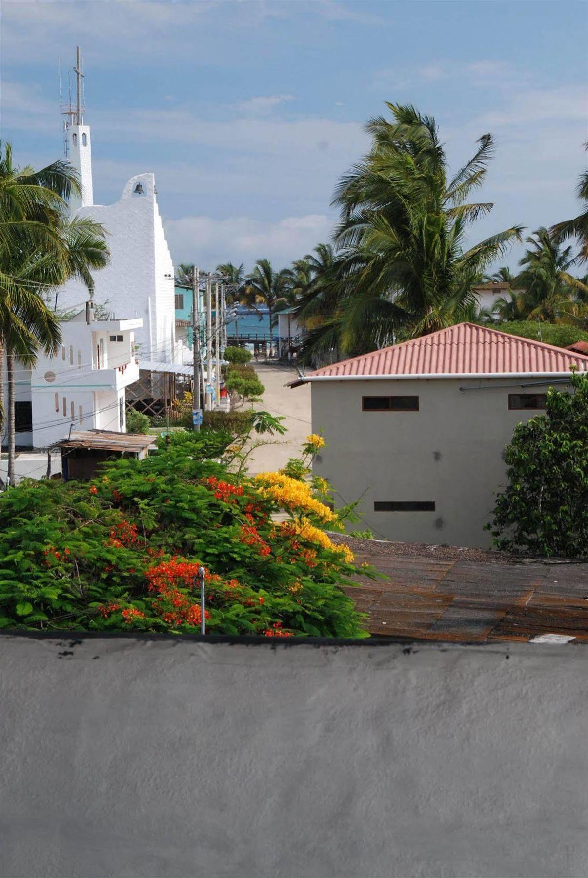 Hotel La Gran Tortuga - ᯤ Starlink Puerto Villamil Exterior photo